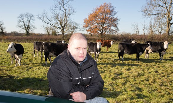 a man sitting on a bench in front of a herd of cows